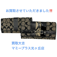 画像1205